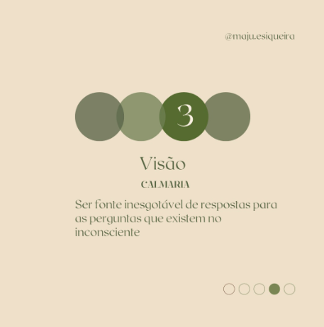 Maria Julia Bolonhesi - Análise Comportamental