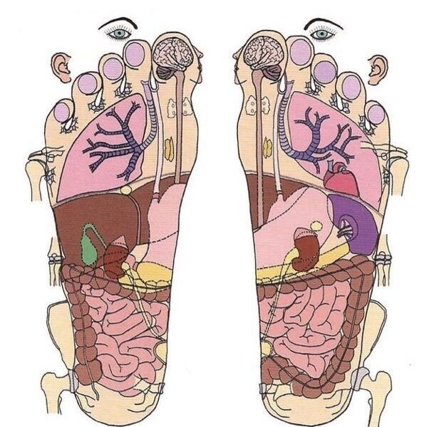 Reflexologia podal