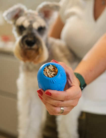 Pet Bistrot Alimentação Natural Para Cães