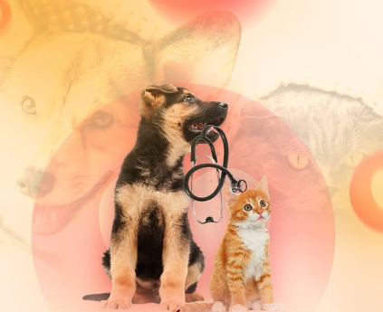 Kardiovet - Tecnologia Veterinária do Coração