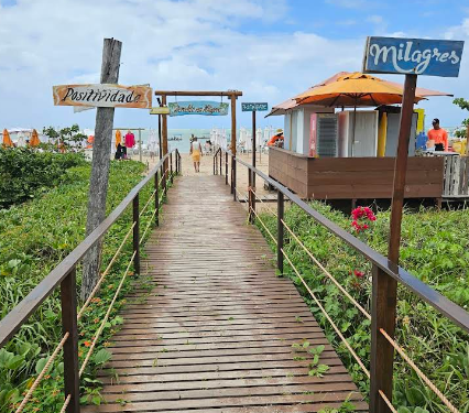Dom Travel Viagens